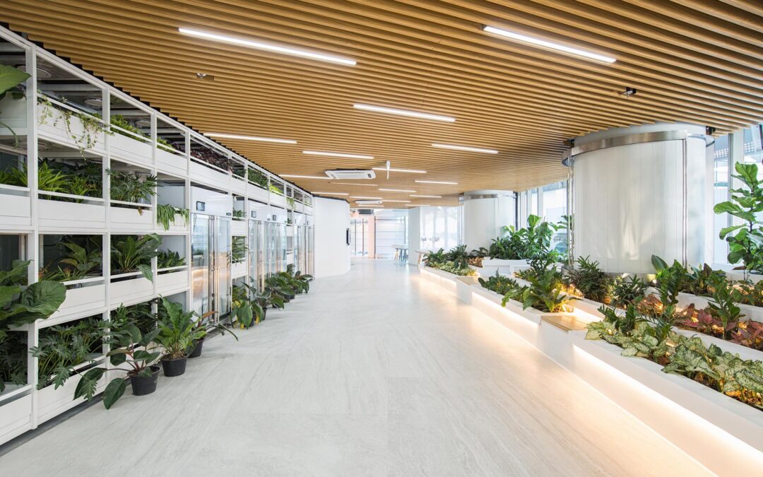 Research & Innovation for Sustainability Center (RISC) Office